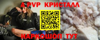 стаф Кингисепп