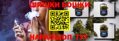 мдпв Камышлов