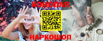 стаф Кингисепп