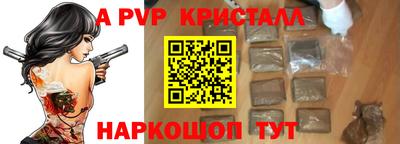 стаф Кингисепп