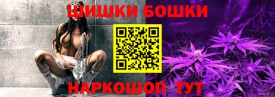 мдпв Камышлов