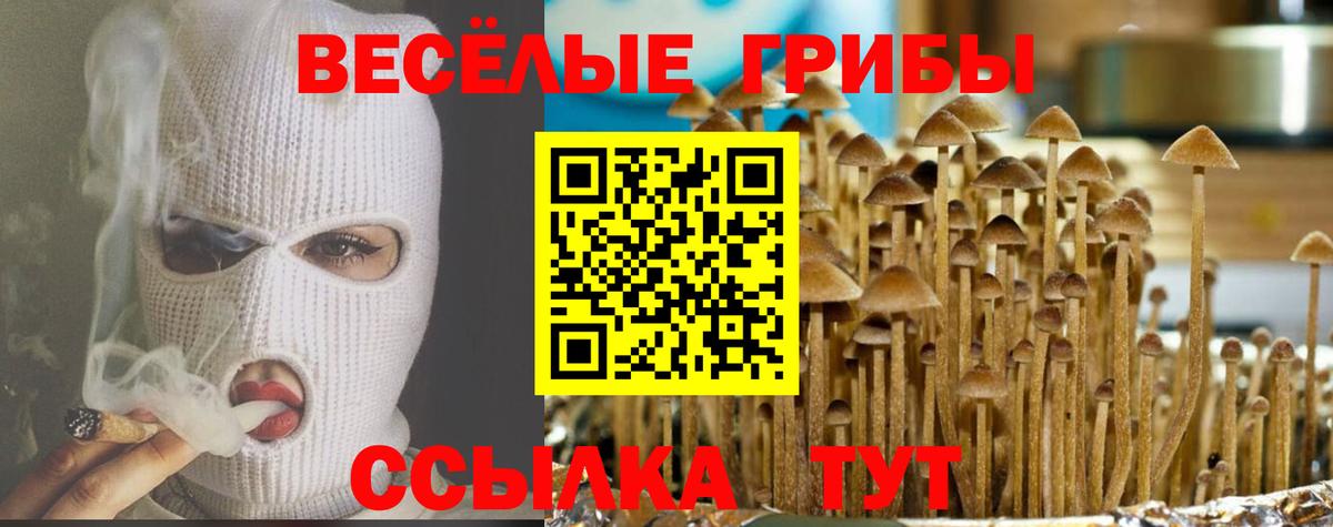 Галлюциногенные грибы мухоморы Красноуфимск
