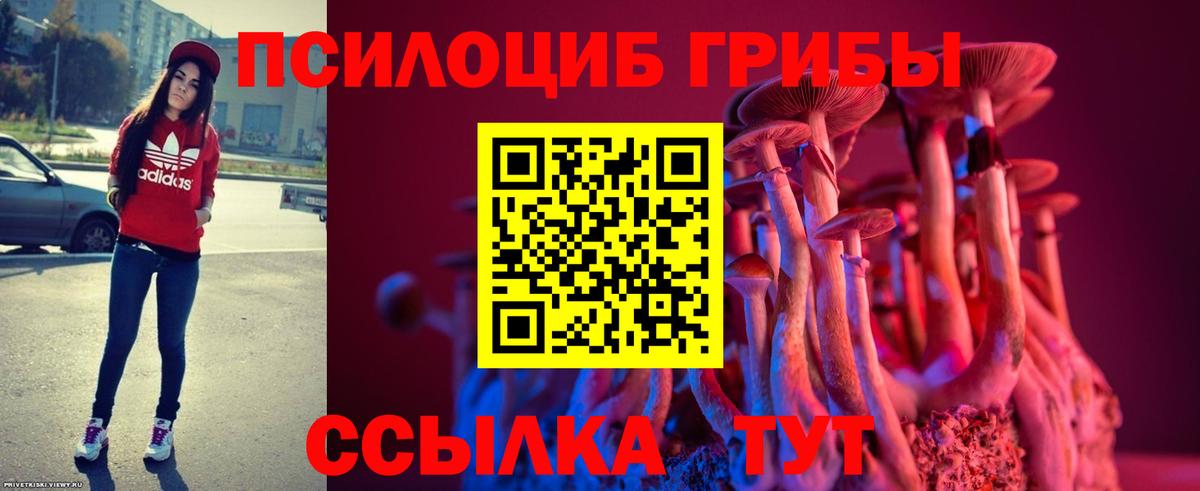 Галлюциногенные грибы мицелий Красноуфимск